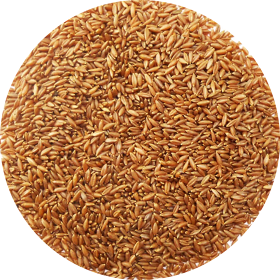 Bamboo Rice - 1LB