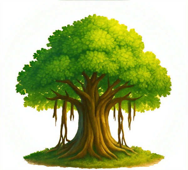 Banyroots